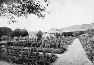 モネの庭、ジヴェルニー、1908年頃